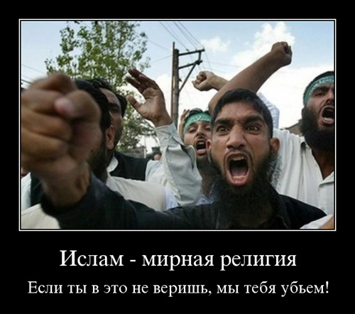Ислам - мирная религия, если ты в это не веришь, мы тебя убьем (№4141)